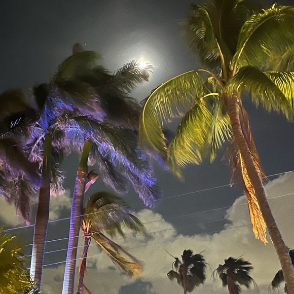 Meet your Posher, Ashley - Picture 10 of 16